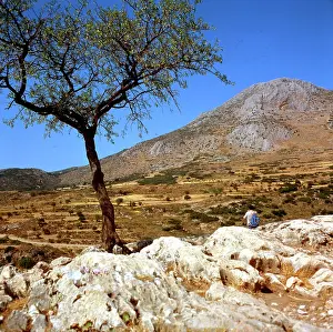 Pastoral: Pastoral scene in Greece