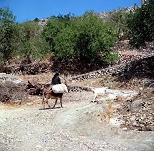 Pastoral: Pastoral scene in Greece