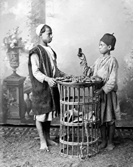 Pastry: Pastry vendor, Egypt