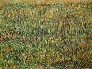 Sprigged: Pasture in Bloom, by Van Gogh