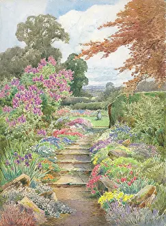 Stannard: Path with flower borders on either side and trees