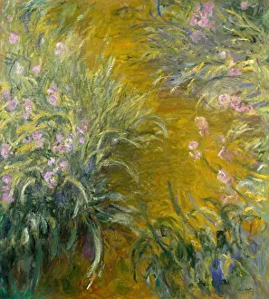 Giverny: The Path through the Irises, by Claude Monet, 1914?17