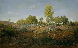 Oil On Wood: A PATH AMONG THE ROCKS, by Theodore Rousseau, 1861