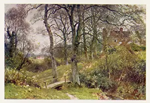 Ockley: Path to the Village