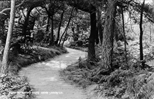 Chine: Pathway Through Canford Cliffs Chine