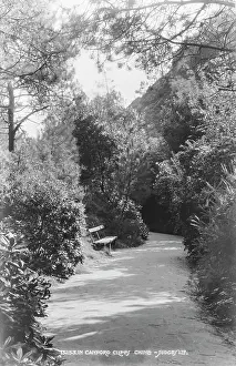 Chine: Pathway in Canford Cliffs Chine