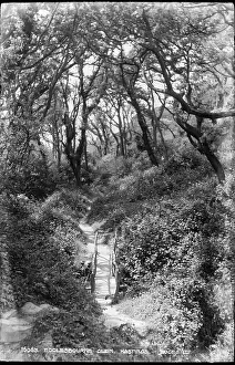 Pathway: Pathway Through Ecclesbourne Glen