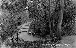 Pathway: Pathway Through Old Roar Gill