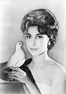 Rawlings: Patricia Rawlings