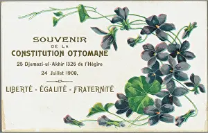 Commitee: Patriotic Postcard in favour of the Constitution