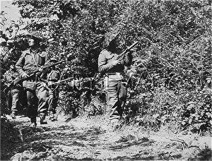 Cautiously: PATROL IN WOODS