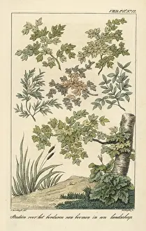Interior Decoration: Pattern for embroidery of flowers in a landscape