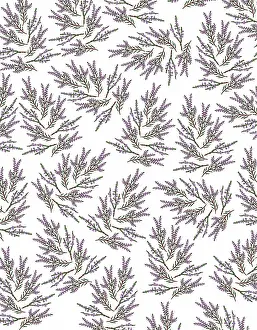 Heathers: Pattern featuring sprigs of purple heather