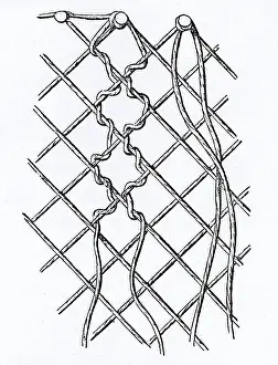 Bobbin: Pattern of Threads in Bobbin-net Lace
