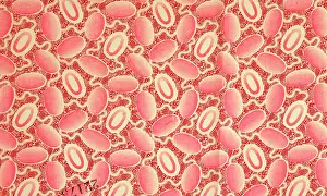 Stripey: Patterned material