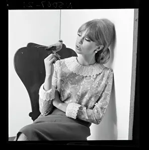 Chic: Pattie Boyd - With model songbird