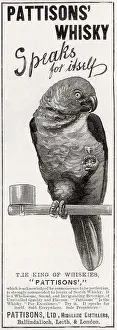Distillers: Pattisons whisky advertisement, 1896
