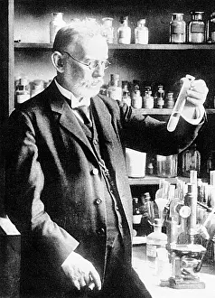Ehrlich: PAUL EHRLICH IN LAB