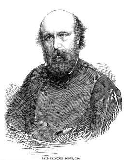 Falconer: PAUL FALCONER POOLE