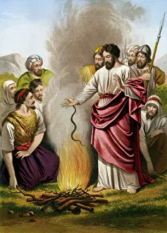 Melita: PAUL AT MELITA