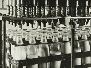 Bottling: Paul Wolff. ' Untitled (bottles processing