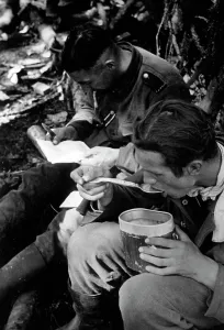 Frontline: Pause in the fighting on the Volkhov Front, 1942