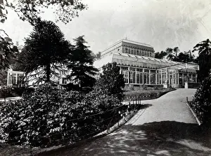 Shrubs: The Pavilion in the Winter Gardens, Bournemouth