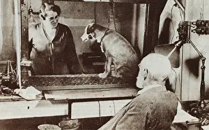Petrovich: Pavlov and Dog