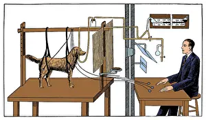 Petrovich: Pavlovian Experiment on Dog