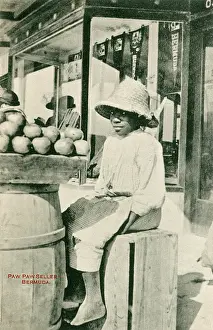 Papaya: Paw Paw Seller - Bermuda