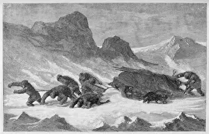 Payer: PAYER/SLEDGE PARTY/1873