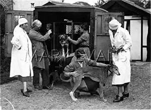 Pdsa: P.D.S.A. ARRIVALS