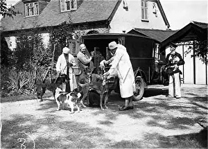 Pdsa: P.D.S.A. ARRIVALS