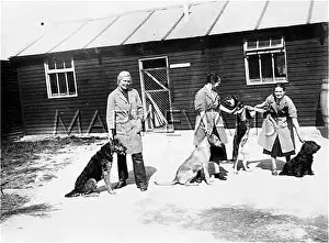 Dispensary: P.D.S.A. KENNELS