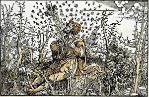 Frugality: About the peace of disposition, man with a lily as allegory