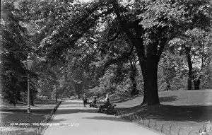 Arboretum: A Peaceful Day at the Arboretum