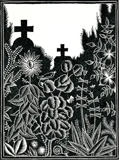 Crosses: Peaceful scene in cemetery