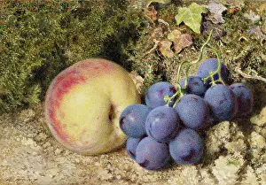 Bodycolour: Peach and Grapes
