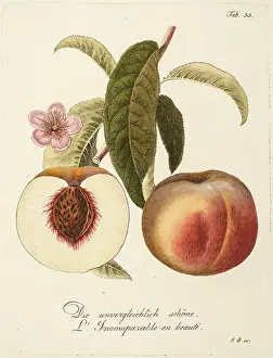 Poss: Two peaches: whole and section