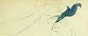 Peacocks: Peacock