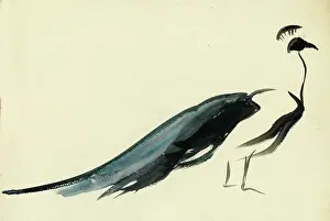 Peacocks: A peacock