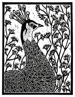 Cuts: Peacock amidst flowers