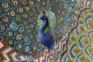 Rajput: Peacock Gate, City Palace, Jaipur, Rajasthan, India