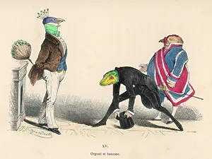 Introduces: PEACOCK AND LIZARD