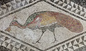 Proculus: Peacock mosaic, House of Paquius Proculus, Pompeii, Italy