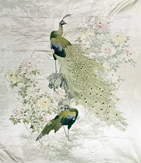 Peacocks: Peacocks and Peonies
