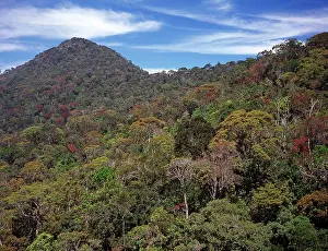 Montane: The Peak Wilderness, Sri Lanka