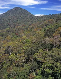 Montane: The Peak Wilderness, Sri Lanka