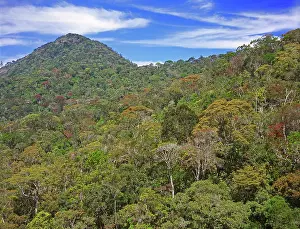 Montane: The Peak Wilderness, Sri Lanka