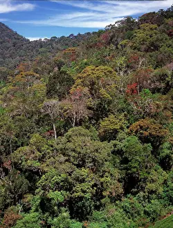 Montane: The Peak Wilderness, Sri Lanka